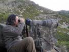 Andoni Canela, el fotógrafo que mejor conoce al lobo: "Somos el país con más biodiversidad en Europa y eso hay que cuidarlo"