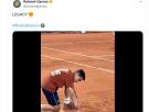 El gesto de este recogepelotas con la placa de Rafa Nadal lo dice absolutamente todo