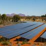 Dejan a casi 2.000 ovejas entre paneles solares sin supervisión y las consecuencias descolocan a los científicos