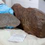Un hombre guarda una piedra durante años pensando que era oro pero la roca de 18 kilos resulta ser mucho más valiosa